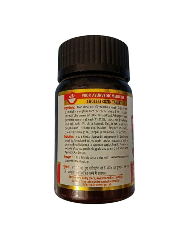 Cholestrozin Tablet (2 PACK 60 TABLET) - Image 3