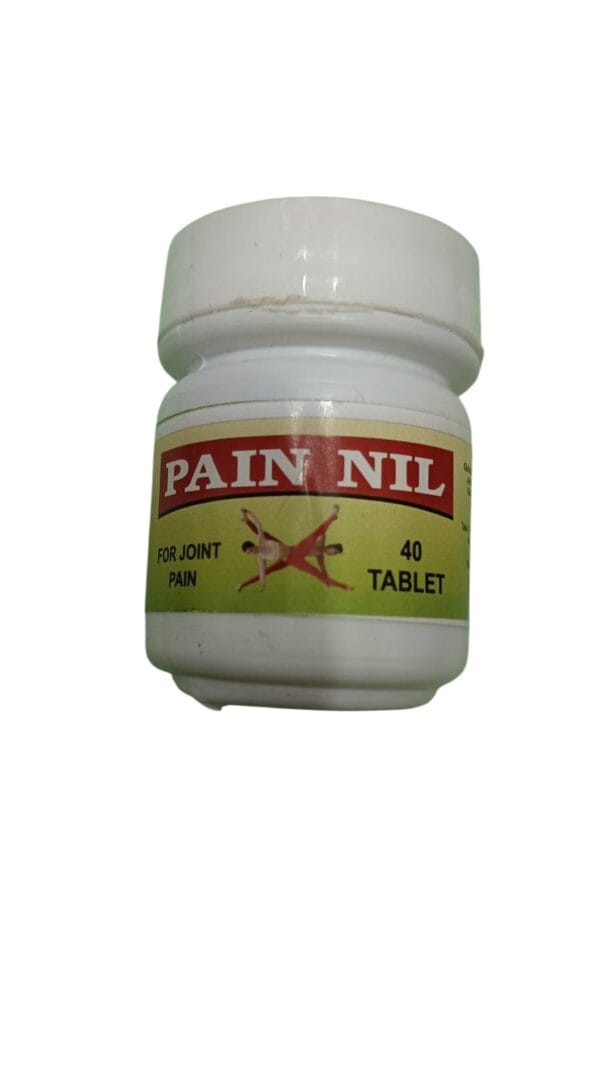 SH PAIN NIL TABLET 100 PIECE