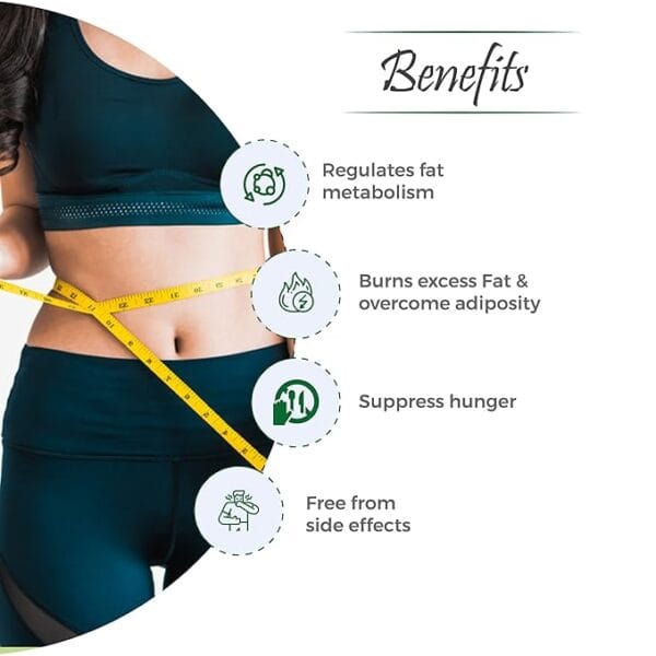 Vital Care Slimit capsule - An Ayurvedic weight management capsule (60 Capsules Pack) - Image 3