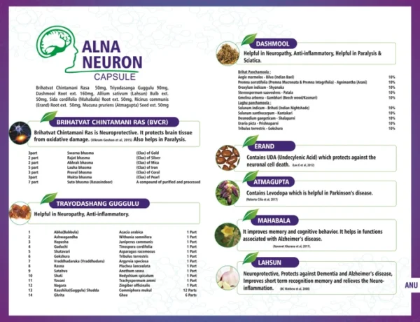 ALNAVEDIC ALNA NEURON CAPSULE 20 Capsules (2*10) - Image 3