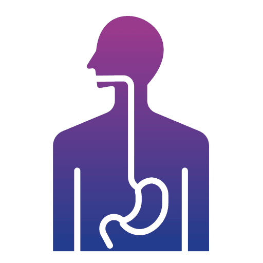Digestion Care
