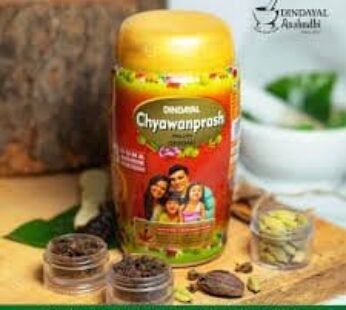 Dindayal Chyawanprash Avaleha (Special) 500gm (3 Pack )