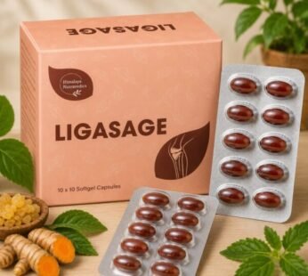 Himalaya Nutravedics Ligasage Softgel 60 Capsules